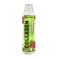 Collagen Support+Hyaluronic Acid+Vitamin C (500мл)